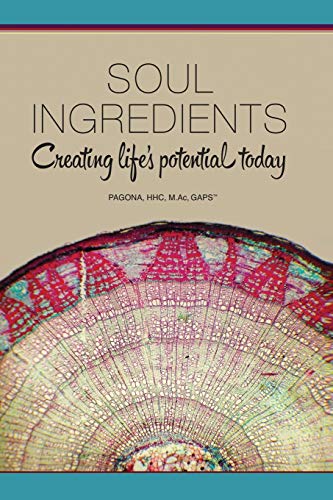 9781939166173: Soul Ingredients: Creating Life's Potential Today