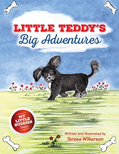 Beispielbild fr Little Teddy's Big Adventures zum Verkauf von PBShop.store US