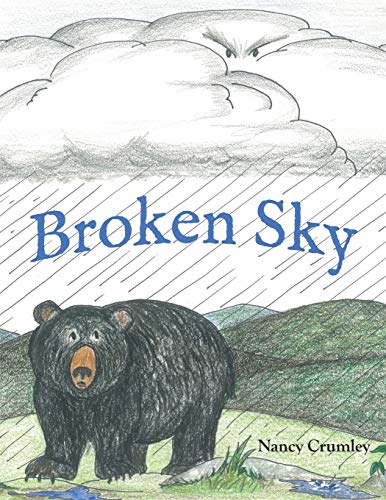 Beispielbild fr Broken Sky zum Verkauf von PBShop.store US