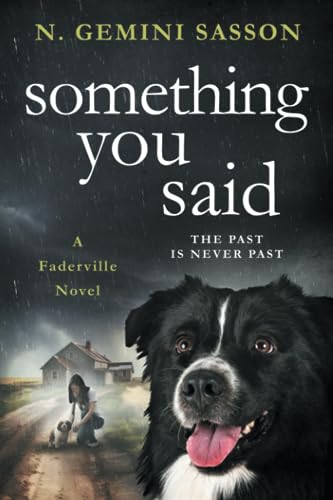 Stock image for Something You Said (The Faderville Novels) for sale by HPB-Diamond