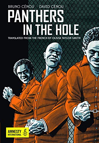 Beispielbild fr Panthers in the Hole zum Verkauf von AwesomeBooks