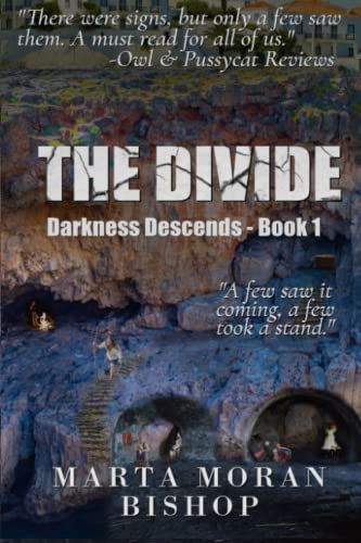 Stock image for Darkness Descends (The Divide) for sale by California Books
