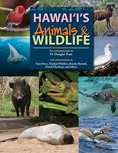 Stock image for Hawaiis Animals and Wildlife for sale by Goodwill Books