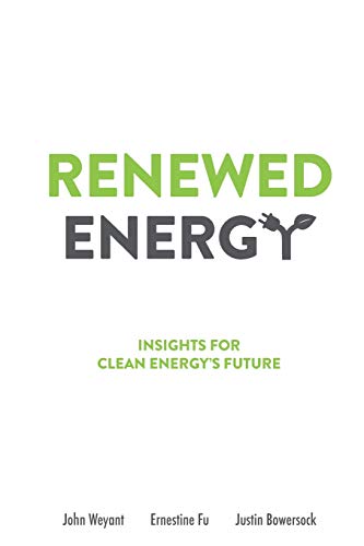 Imagen de archivo de Renewed Energy: Insights for Clean Energys Future a la venta por mountain