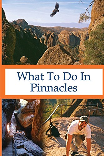 Imagen de archivo de What To Do In Pinnacles a la venta por Lucky's Textbooks