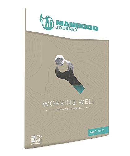 Stock image for Manhood Journey: Working Well 1 on 1 guide for sale by ThriftBooks-Atlanta