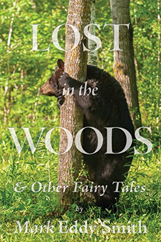 Beispielbild fr Lost in the Woods: & Other Fairy Tales zum Verkauf von Lucky's Textbooks