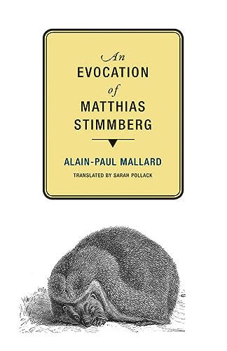 Stock image for An Evocation of Matthias Stimmberg Format: Paperback for sale by INDOO