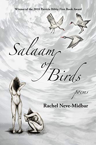 Beispielbild fr Salaam of Birds zum Verkauf von Recycle Bookstore
