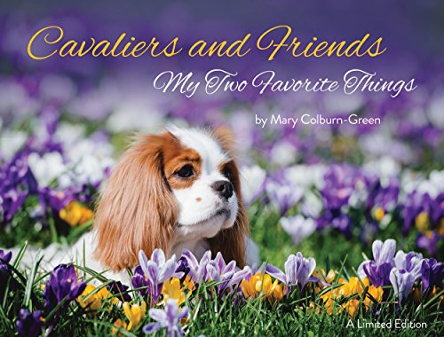 Stock image for Cavaliers and Friends : My Two Favorite Things Hardcover Mary Colburn-Green for sale by SecondSale