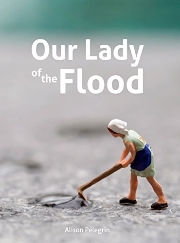Beispielbild fr Our Lady of the Flood zum Verkauf von Half Price Books Inc.