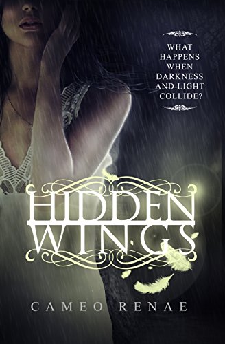 Stock image for Hidden Wings for sale by SecondSale
