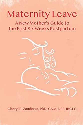 Beispielbild fr Maternity Leave : A New Mother's Guide to the First Six Weeks Postpartum zum Verkauf von Better World Books