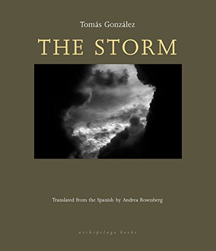 Imagen de archivo de The Storm a la venta por Better World Books: West
