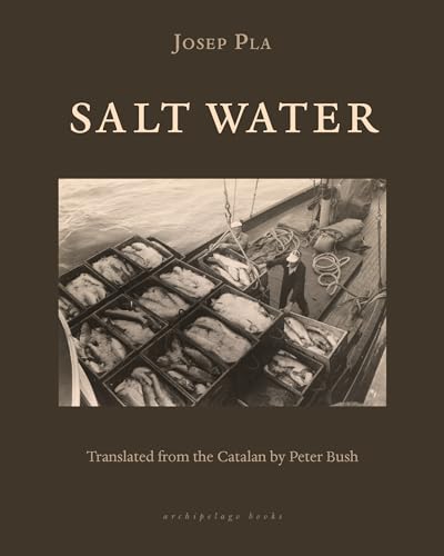 Imagen de archivo de Salt Water a la venta por ThriftBooks-Dallas