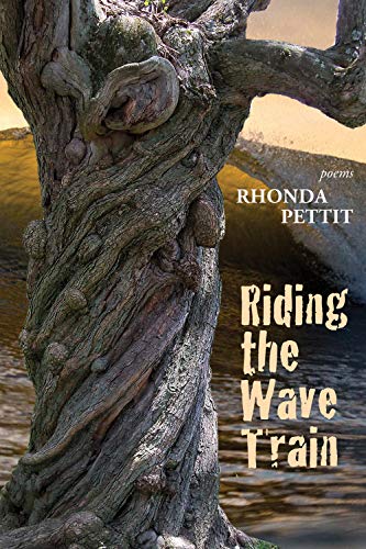 Imagen de archivo de Riding the Wave Train a la venta por Better World Books