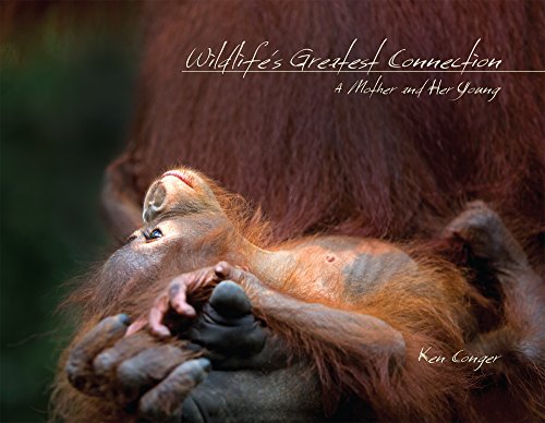 9781939930378: Wildlife's Greatest Connection: A Mother and Her Young