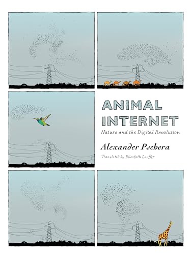 Beispielbild fr Animal Internet zum Verkauf von Blackwell's