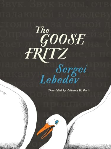 Imagen de archivo de The Goose Fritz a la venta por Wonder Book