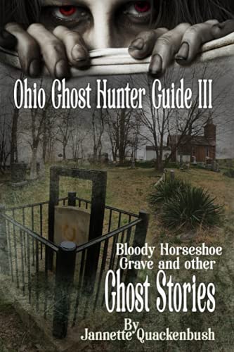 Stock image for Ohio Ghost Hunter Guide III: A Ghost Hunter's Guide to Ohio (Ohio Ghost Guides) for sale by Save With Sam