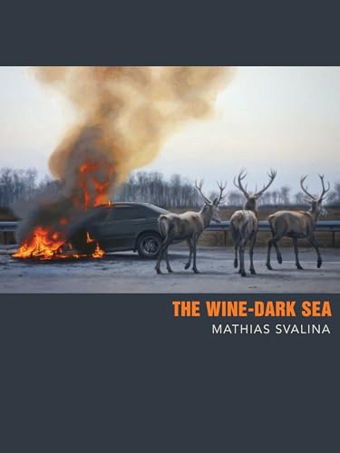 Stock image for The Wine-Dark Sea for sale by SecondSale