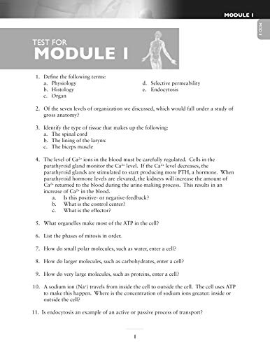 Beispielbild fr Exploring Creation with Chemistry 3rd Edition, Test Pages zum Verkauf von SecondSale