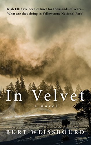 Stock image for In Velvet: A Novel for sale by HPB-Emerald