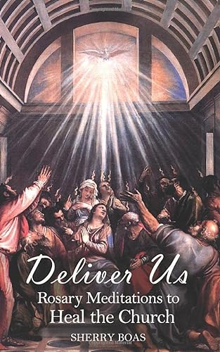 Stock image for Deliver Us: Rosary Meditations to Heal the Church for sale by Big River Books