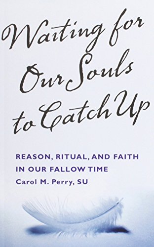 Beispielbild fr Waiting for Our Souls to Catch Up: Reason, Ritual, and Faith in Our Fallow Time zum Verkauf von More Than Words