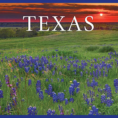 9781940416250: Texas (America)
