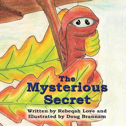 Imagen de archivo de The Mysterious Secret a la venta por Lucky's Textbooks