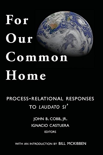 Stock image for For Our Common Home: Process-Relational Responses to Laudato Si' for sale by HPB-Diamond