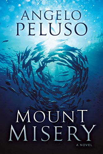 Beispielbild fr Mount Misery : A Novel zum Verkauf von Better World Books