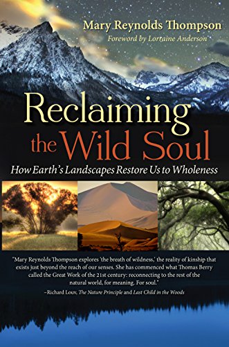Imagen de archivo de Reclaiming the Wild Soul : How Earth's Landscapes Restore Us to Wholeness a la venta por Better World Books: West