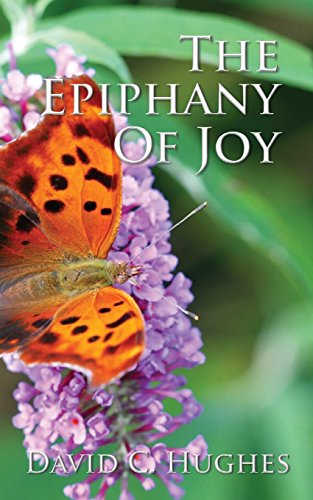 9781940834160: The Epiphany of Joy