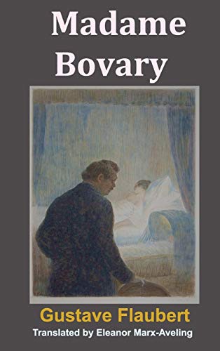 9781940849508: Madame Bovary