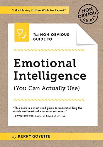 Stock image for The Non-Obvious Guide to Emotional Intelligence (You Can Actually Use) Format: Paperback for sale by INDOO