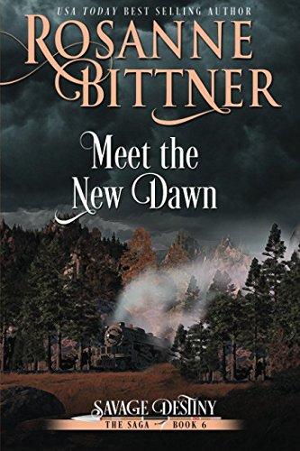 9781940941660: Meet the New Dawn: Volume 6