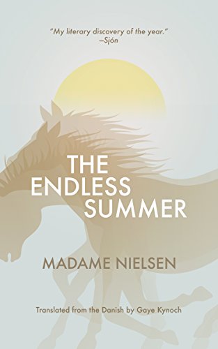 Stock image for The Endless Summer (Danish Women Writers Series) for sale by BooksRun