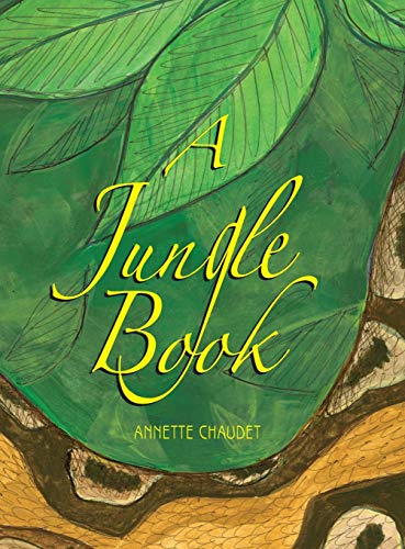 Beispielbild fr A Jungle Book zum Verkauf von WorldofBooks