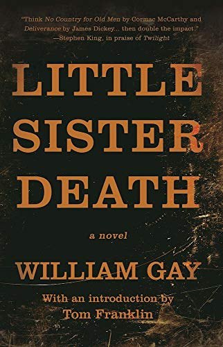 Beispielbild fr Little Sister Death : A Novel zum Verkauf von Better World Books: West