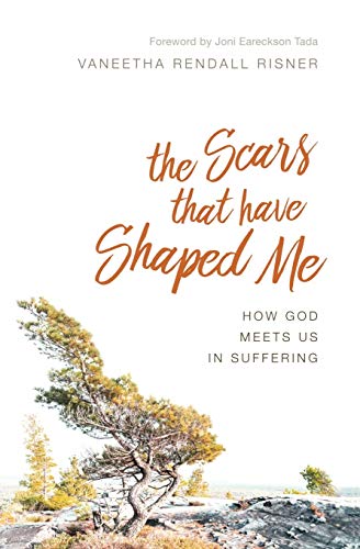 Stock image for The Scars That Have Shaped Me: How God Meets Us in Suffering [Paperback] Risner, Vaneetha Rendall for sale by Lakeside Books