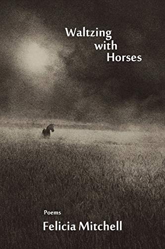 Imagen de archivo de WALTZING WITH HORSES a la venta por Columbia Books, ABAA/ILAB, MWABA