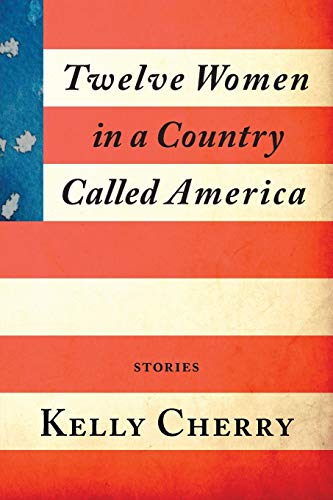 9781941209196: Twelve Women in a Country Called America