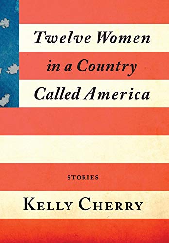 9781941209554: Twelve Women in a Country Called America