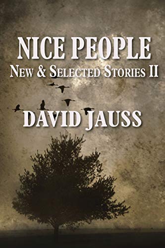 Imagen de archivo de Nice People: New & Selected Stories II a la venta por Books From California