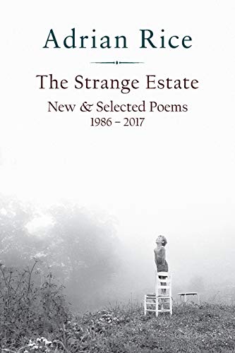 Stock image for The Strange Estate: New & Selected Poems 1986 - 2017 for sale by ThriftBooks-Dallas