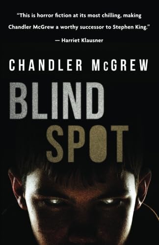Imagen de archivo de Blind Spot a la venta por Revaluation Books