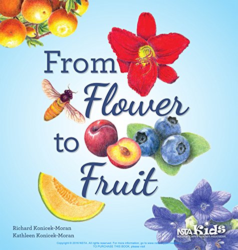 Beispielbild fr From Flower to Fruit zum Verkauf von SecondSale