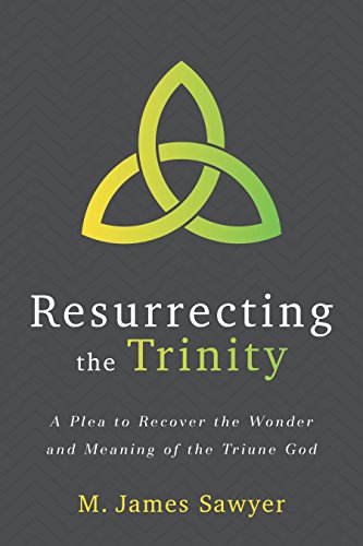 Imagen de archivo de Resurrecting the Trinity: A Plea to Recover the Wonder and Meaning of the Triune God a la venta por Gulf Coast Books